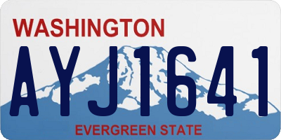 WA license plate AYJ1641