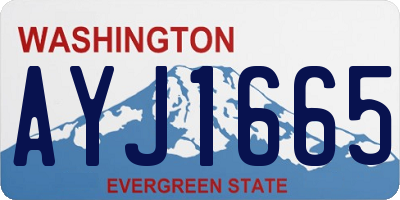WA license plate AYJ1665