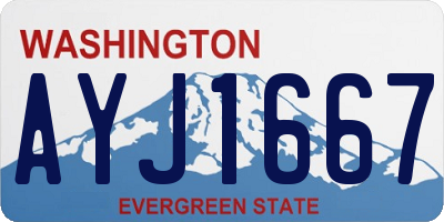 WA license plate AYJ1667