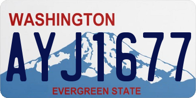 WA license plate AYJ1677