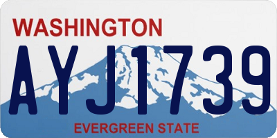 WA license plate AYJ1739