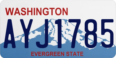 WA license plate AYJ1785