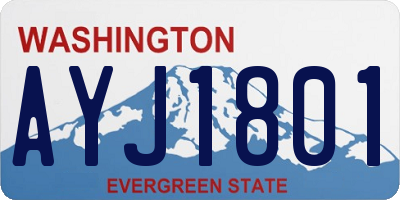 WA license plate AYJ1801