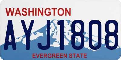 WA license plate AYJ1808