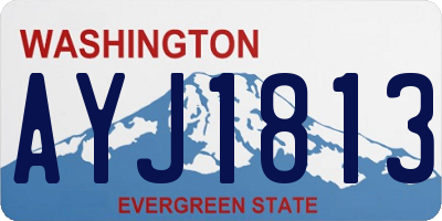 WA license plate AYJ1813