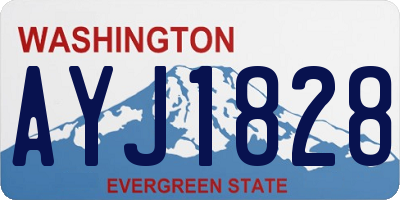 WA license plate AYJ1828