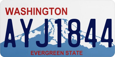 WA license plate AYJ1844