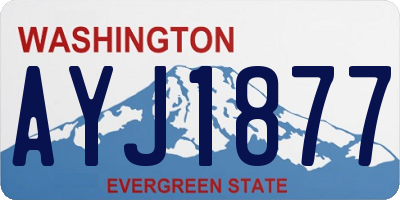 WA license plate AYJ1877