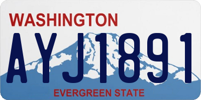 WA license plate AYJ1891