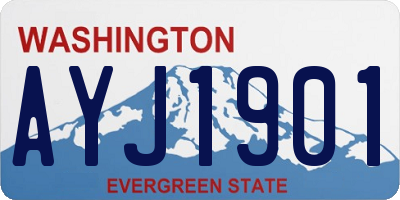 WA license plate AYJ1901