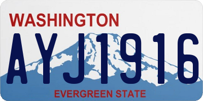 WA license plate AYJ1916