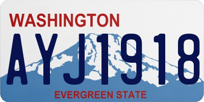 WA license plate AYJ1918