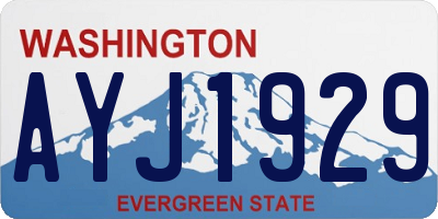 WA license plate AYJ1929