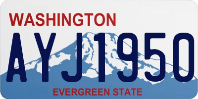 WA license plate AYJ1950
