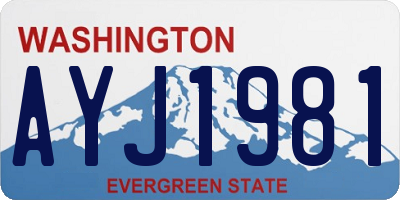 WA license plate AYJ1981