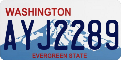 WA license plate AYJ2289