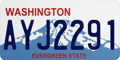 WA license plate AYJ2291