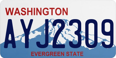 WA license plate AYJ2309