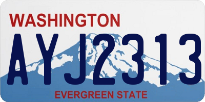 WA license plate AYJ2313