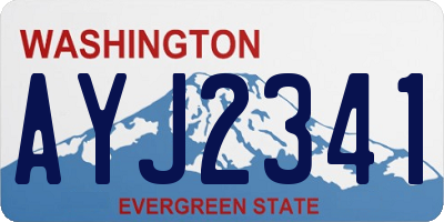 WA license plate AYJ2341
