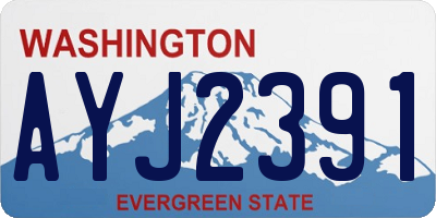 WA license plate AYJ2391