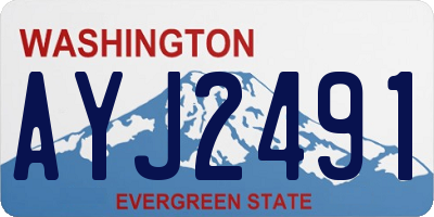 WA license plate AYJ2491
