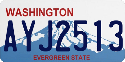 WA license plate AYJ2513