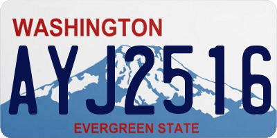 WA license plate AYJ2516