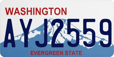 WA license plate AYJ2559