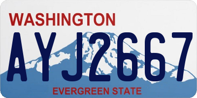 WA license plate AYJ2667
