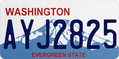 WA license plate AYJ2825