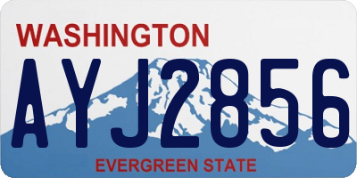 WA license plate AYJ2856