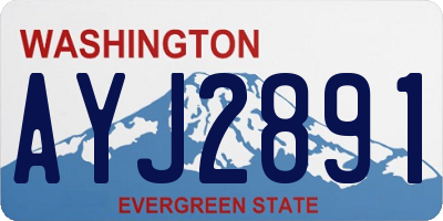 WA license plate AYJ2891