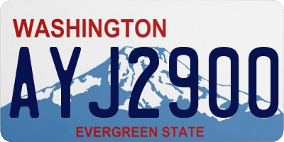 WA license plate AYJ2900