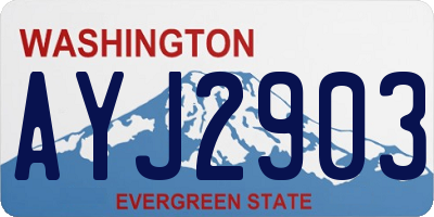 WA license plate AYJ2903