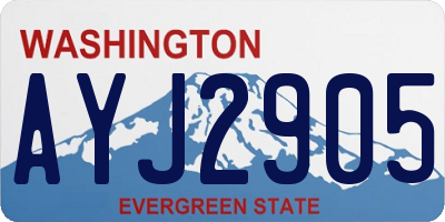WA license plate AYJ2905