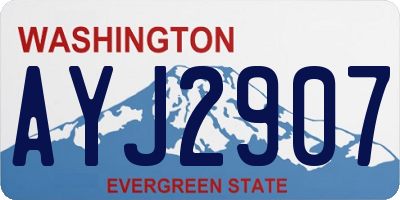 WA license plate AYJ2907