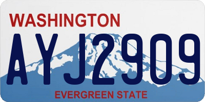 WA license plate AYJ2909