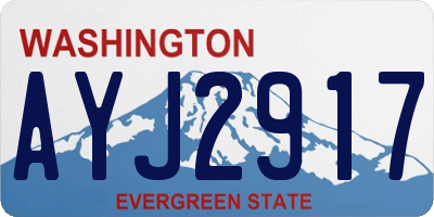 WA license plate AYJ2917