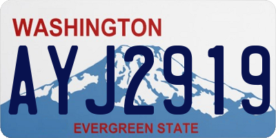 WA license plate AYJ2919