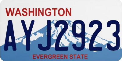 WA license plate AYJ2923