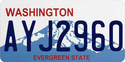 WA license plate AYJ2960