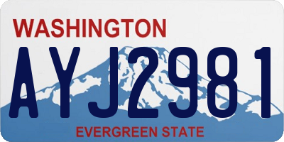 WA license plate AYJ2981