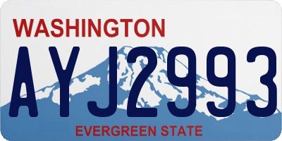 WA license plate AYJ2993