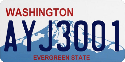 WA license plate AYJ3001