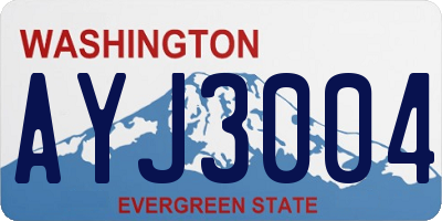 WA license plate AYJ3004