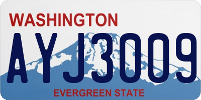 WA license plate AYJ3009