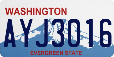 WA license plate AYJ3016