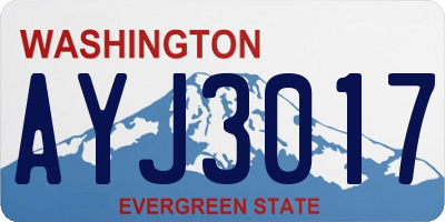 WA license plate AYJ3017