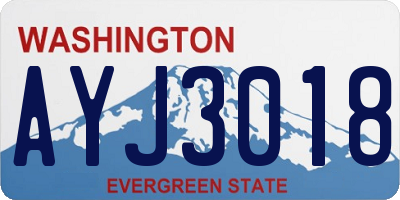 WA license plate AYJ3018